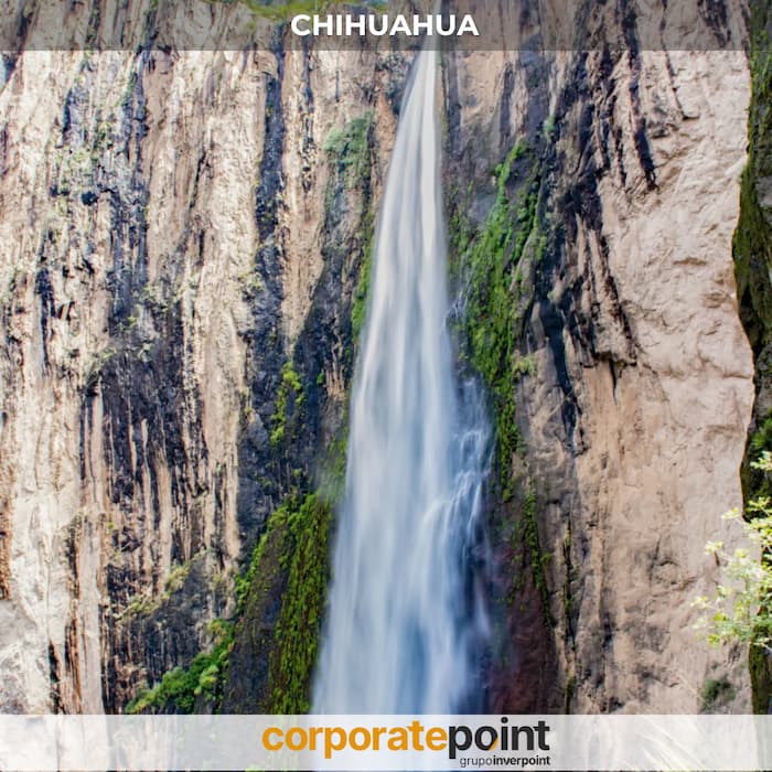 comprar vender negocios chihuahua